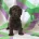 Cockapoo