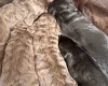 Cockapoo