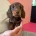 Dachshund (Miniature Long Haired)