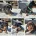 Dachshund (Miniature Smooth Haired)