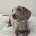 Dachshund (Miniature Smooth Haired)