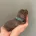 Dachshund (Miniature Smooth Haired)
