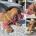 Dachshund (Miniature Smooth Haired)