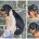 Dachshund (Miniature Smooth Haired)