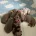 Dachshund (Miniature Smooth Haired)
