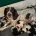English Springer Spaniel