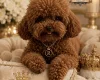 Toy Poodle
