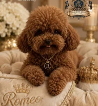 Romeo