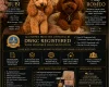 Toy Poodle