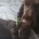 Field Spaniel