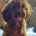 Cavapoo