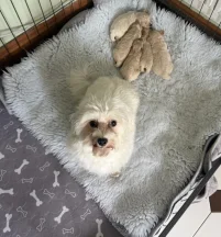 Winnie