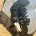 Labradoodle