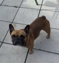 Stanley