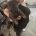 German Shepherd (Alsatian)