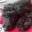 Goldendoodle