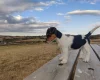 Jack Russell