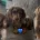 Dachshund (Miniature Smooth Haired)