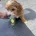 Maltipoo