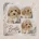 Maltipoo