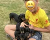 Dachshund (Smooth Haired)
