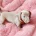 Dachshund (Miniature Smooth Haired)