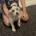 Poochon