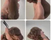 Dachshund (Miniature Smooth Haired)