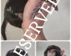 Dachshund (Miniature Smooth Haired)