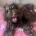 Cavapoo