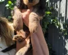 Cocker Spaniel (Show)