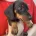 Dachshund (Miniature Smooth Haired)