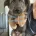 German Shepherd (Alsatian)