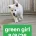 White Swiss Shepherd Dog