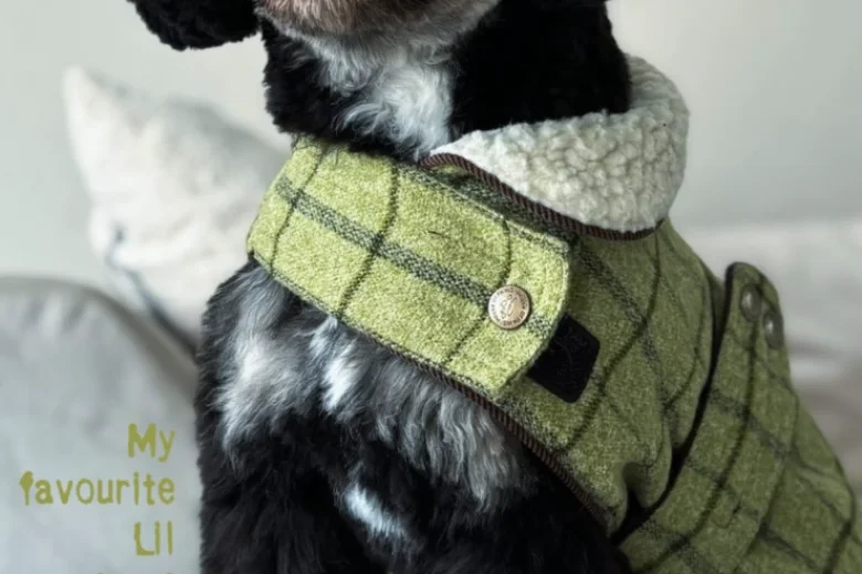 Cavapoo