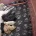 Toy Poodle