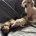 Toy Poodle