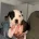 American Bulldog