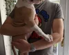 American Bulldog