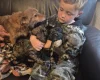 American Cocker Spaniel