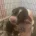 Cocker Spaniel (Show)
