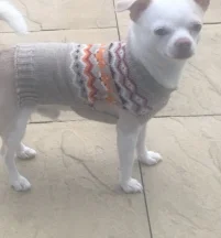 Alfonzo