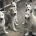 Alaskan Malamute