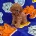 Toy Poodle