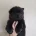 Chow Chow