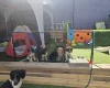 Cocker Spaniel (Working)