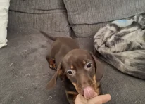 Bella