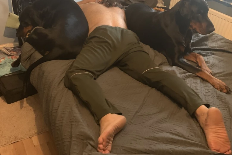 Doberman