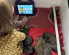 Doxipoo