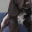Field Spaniel